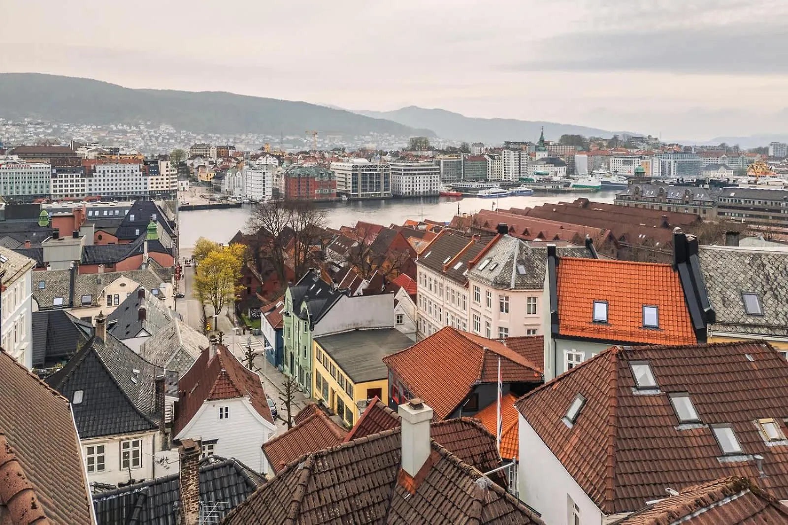 Dinbnb Apartments L 50M To Bryggen L 16 Guest L 3 Apt L Balcony L View Bergen